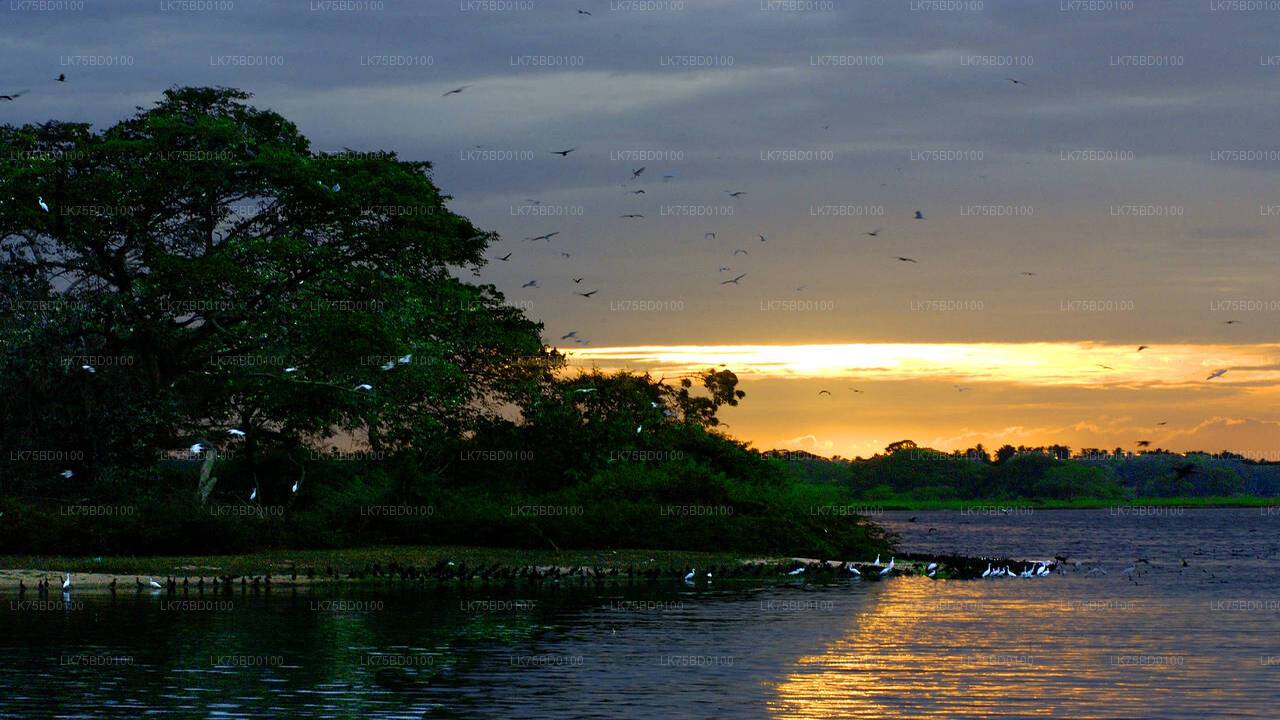 Bundala-Nationalpark-Safari ab Tissamaharama