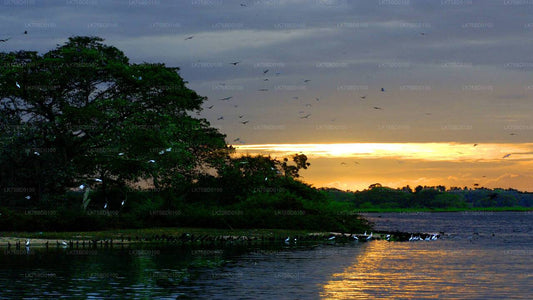 Bundala-Nationalpark-Safari ab Tissamaharama