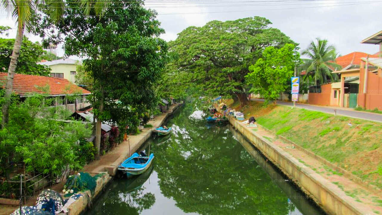 Niederländische Kanalbootstour ab Negombo