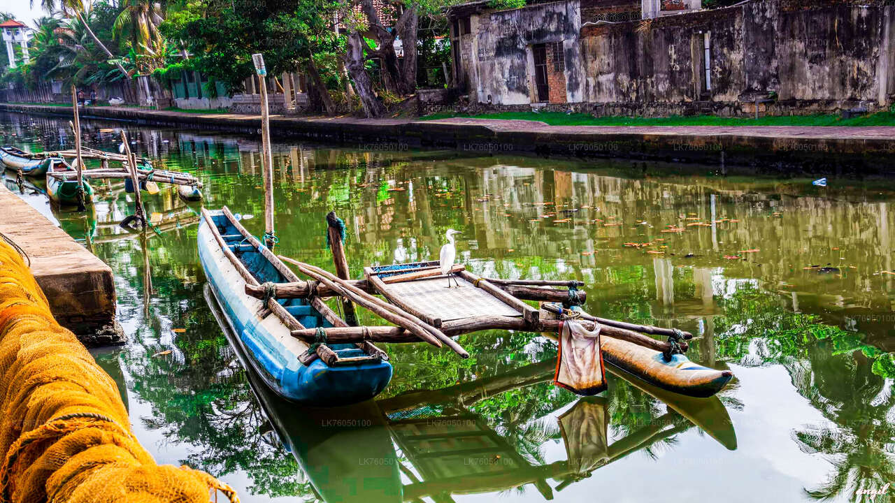 Niederländische Kanalbootstour ab Negombo