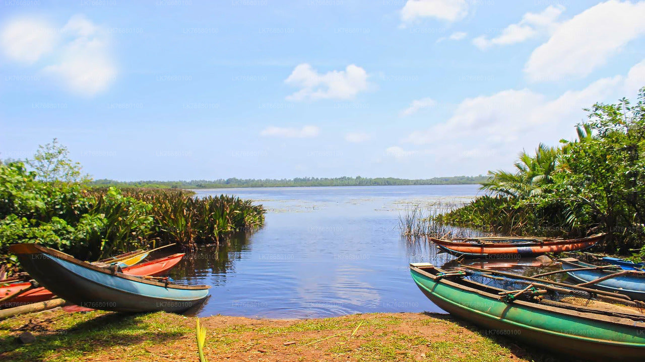 Bolgoda-See-Bootssafari ab Colombo