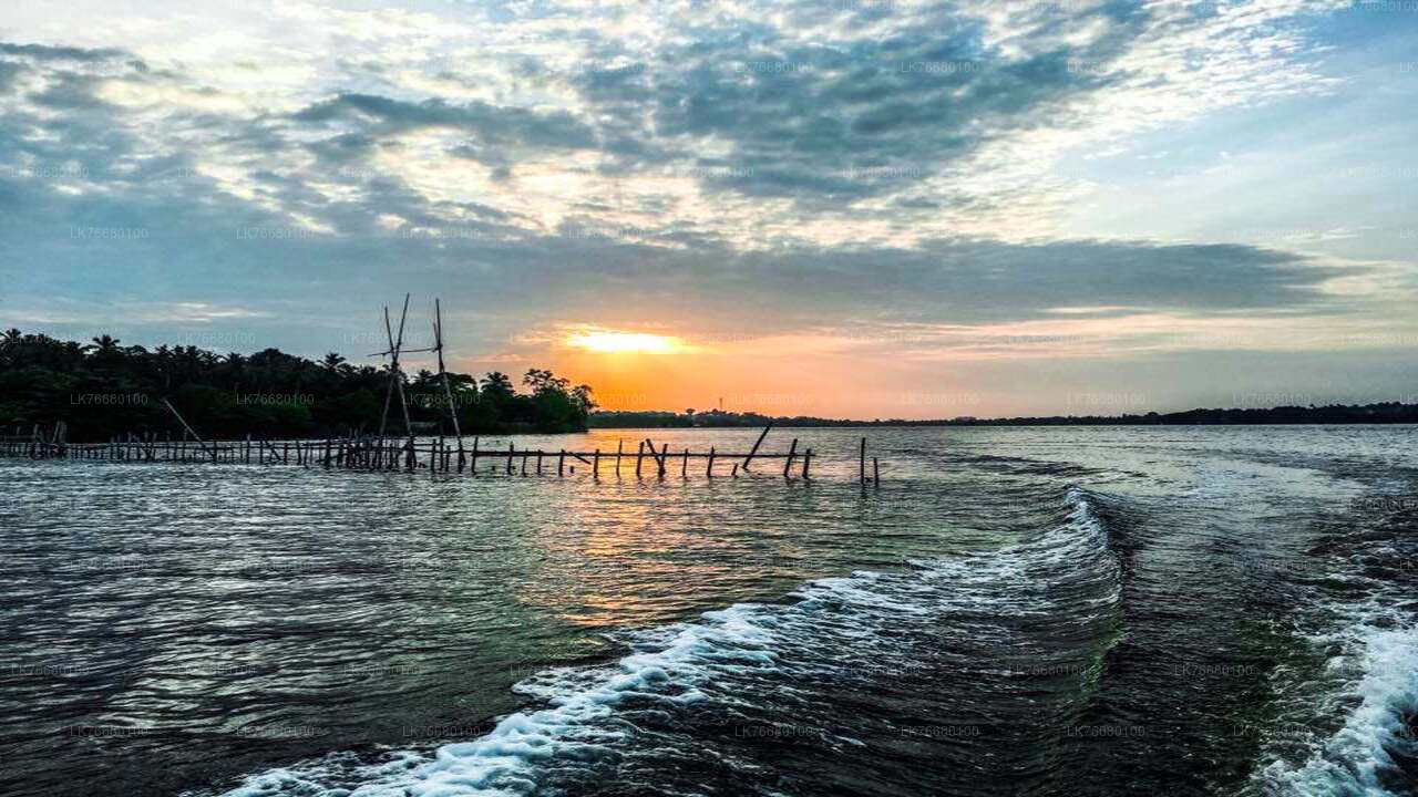 Bolgoda-See-Bootssafari ab Colombo