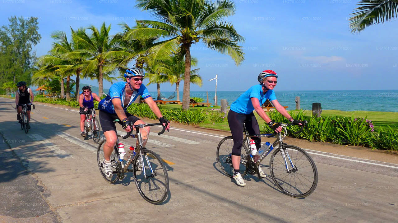 Niederländische Fußspuren-Radtour ab Colombo