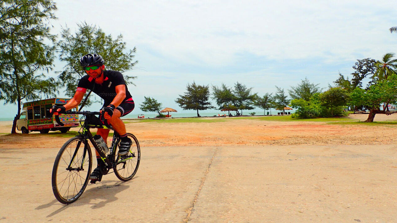 Niederländische Fußspuren-Radtour ab Colombo