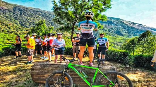 Teefelder mit dem Fahrrad von Kandy aus