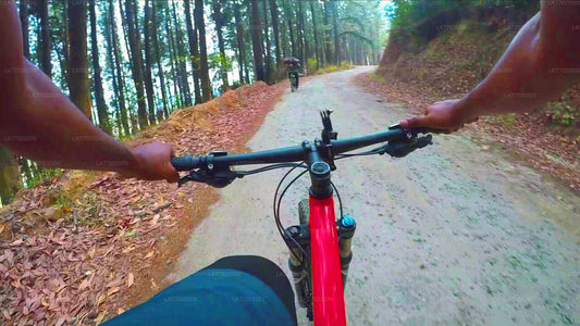 Radtour durch das Dorf Meemure ab Kandy