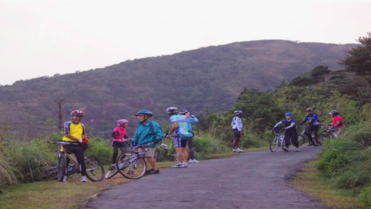 Radtour durch das Dorf Meemure ab Kandy