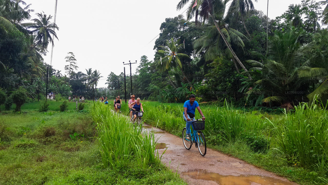 Lagoon Village mit dem Fahrrad ab Galle