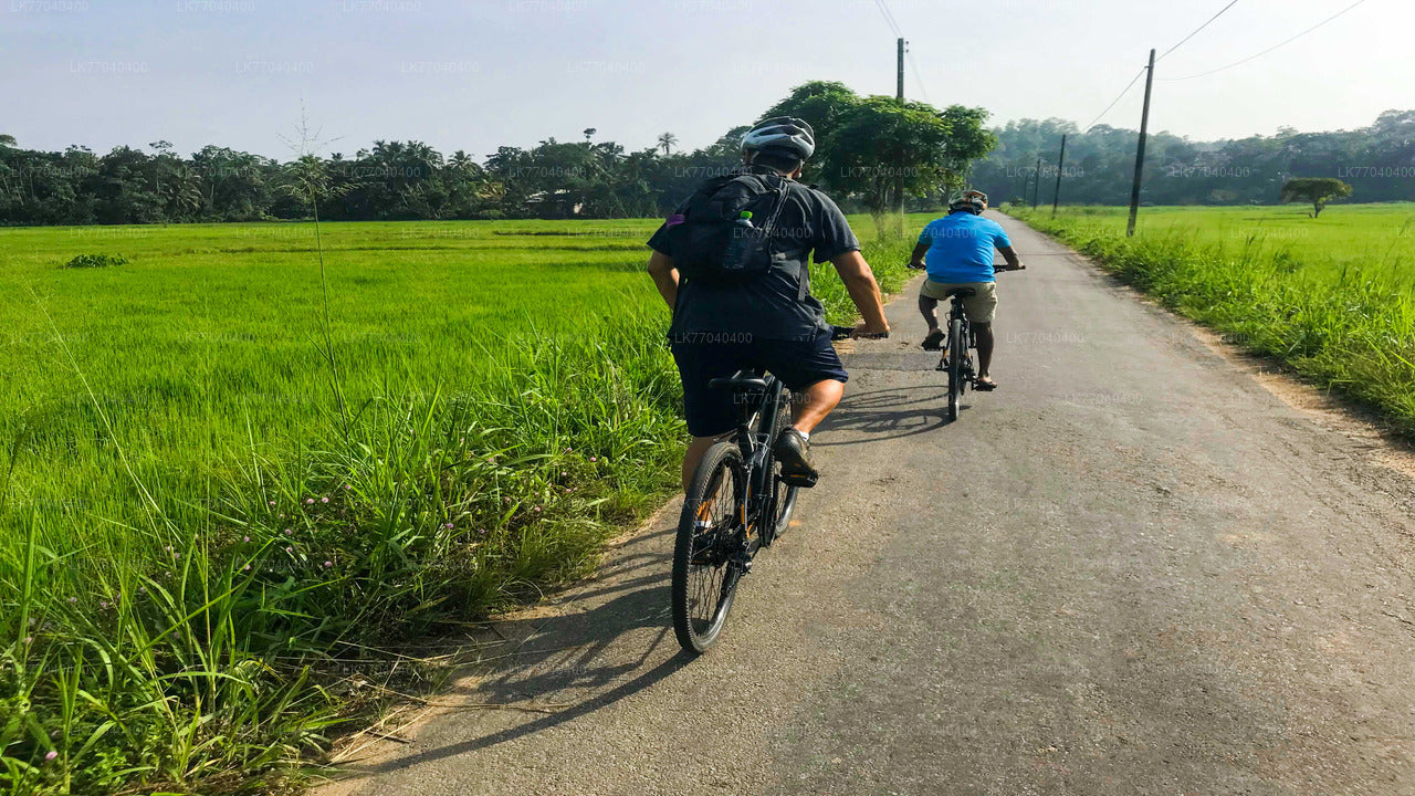 Abenteuerradfahren ab Galle