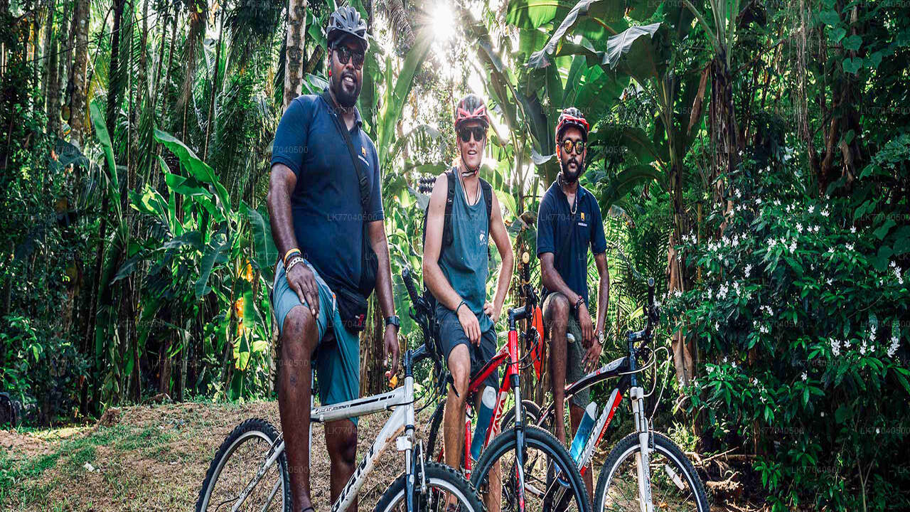 Mountainbiken ab Galle