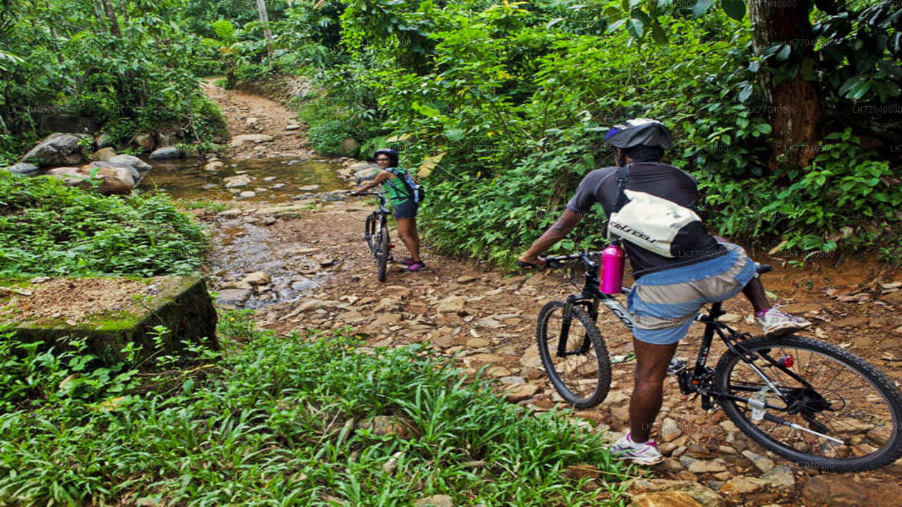 Mountainbiken ab Galle