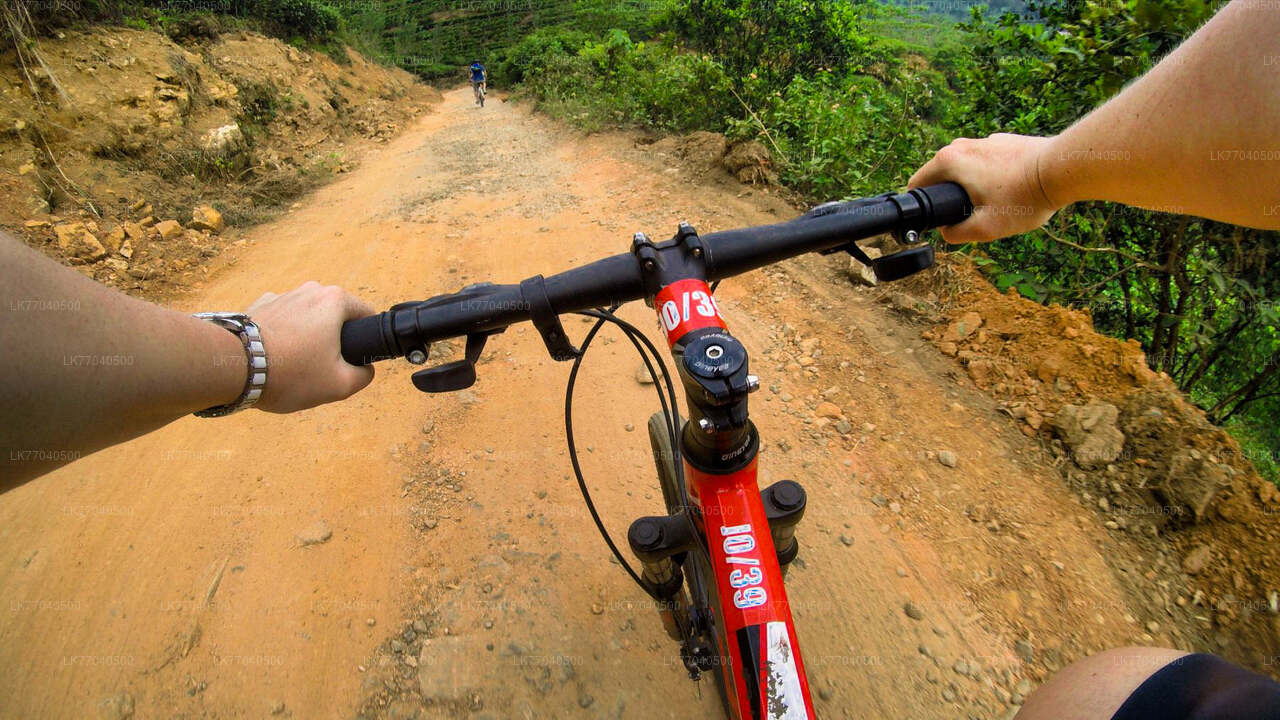 Mountainbiken ab Galle