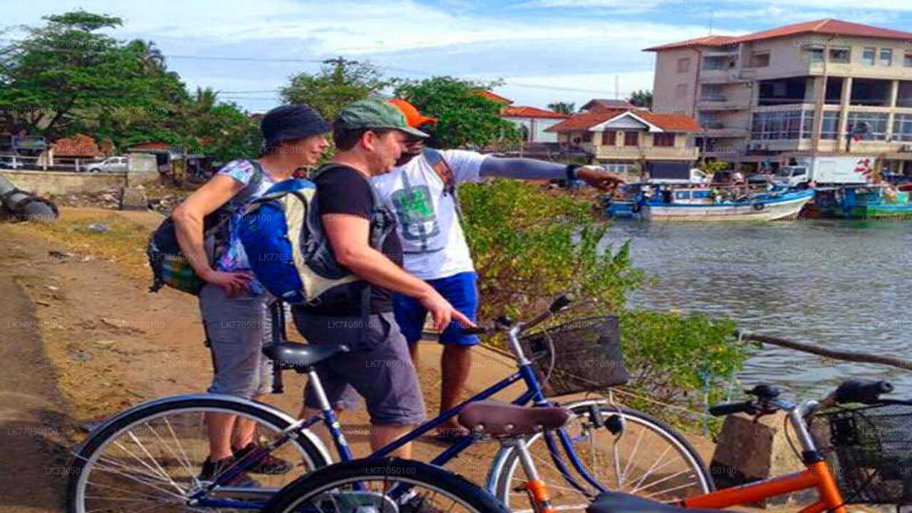 Fischerdorf mit dem Fahrrad von Negombo