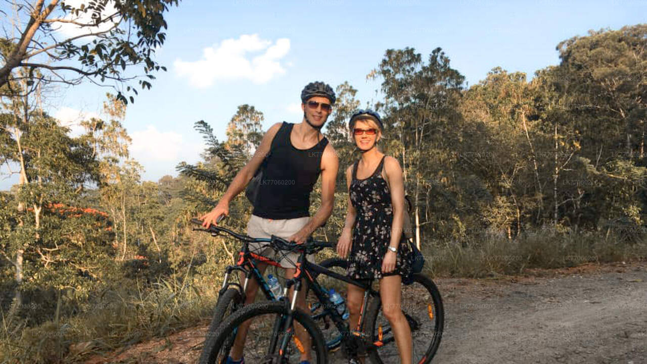 Fahrrad- und Kochvorführung aus Anuradhapura