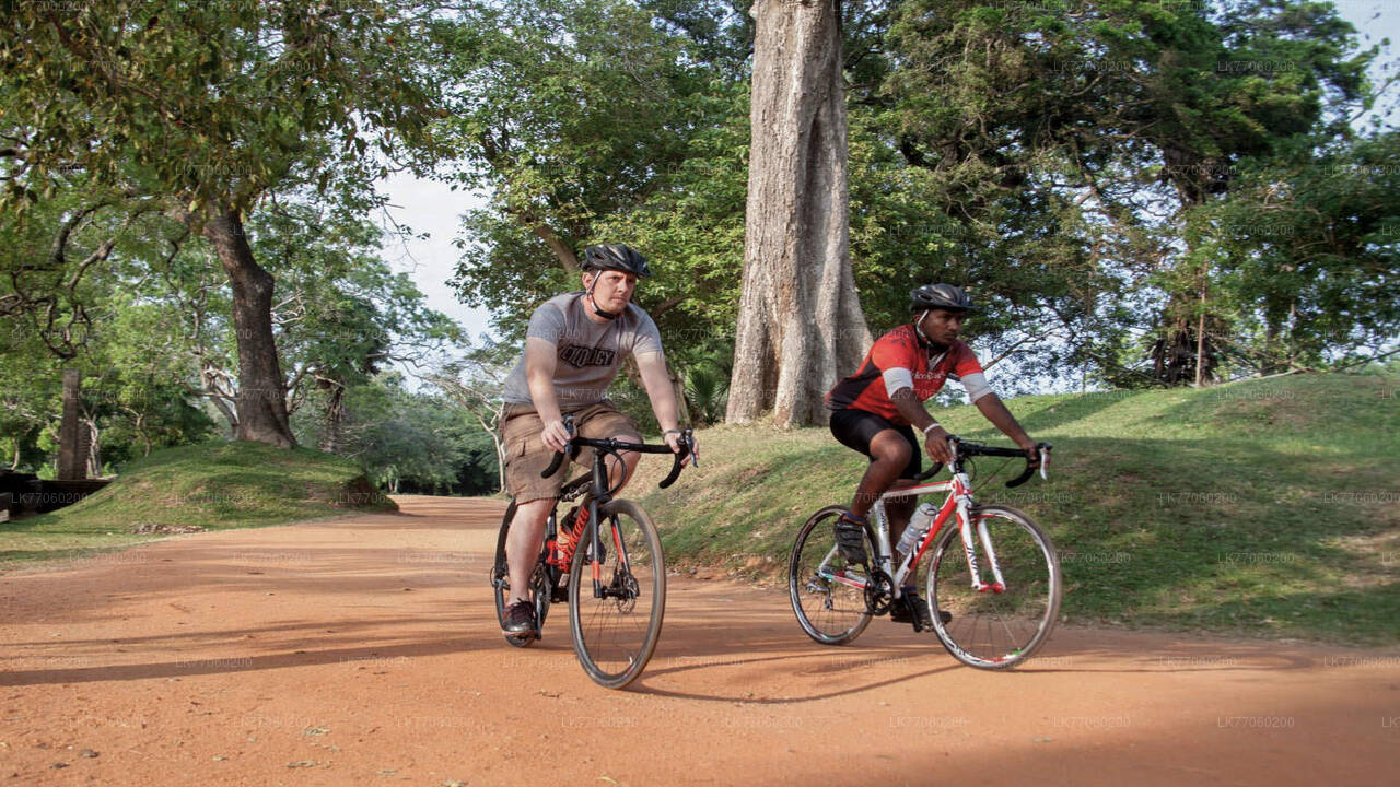 Fahrrad- und Kochvorführung aus Anuradhapura