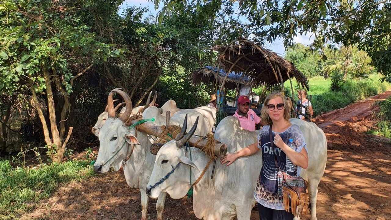Radtour durch das Dorf Rajanganaya ab Anuradhapura