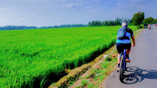 Cross Country-Radtour von Ella nach Yala