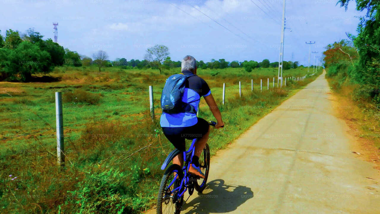 Cross Country-Radtour von Ella nach Yala