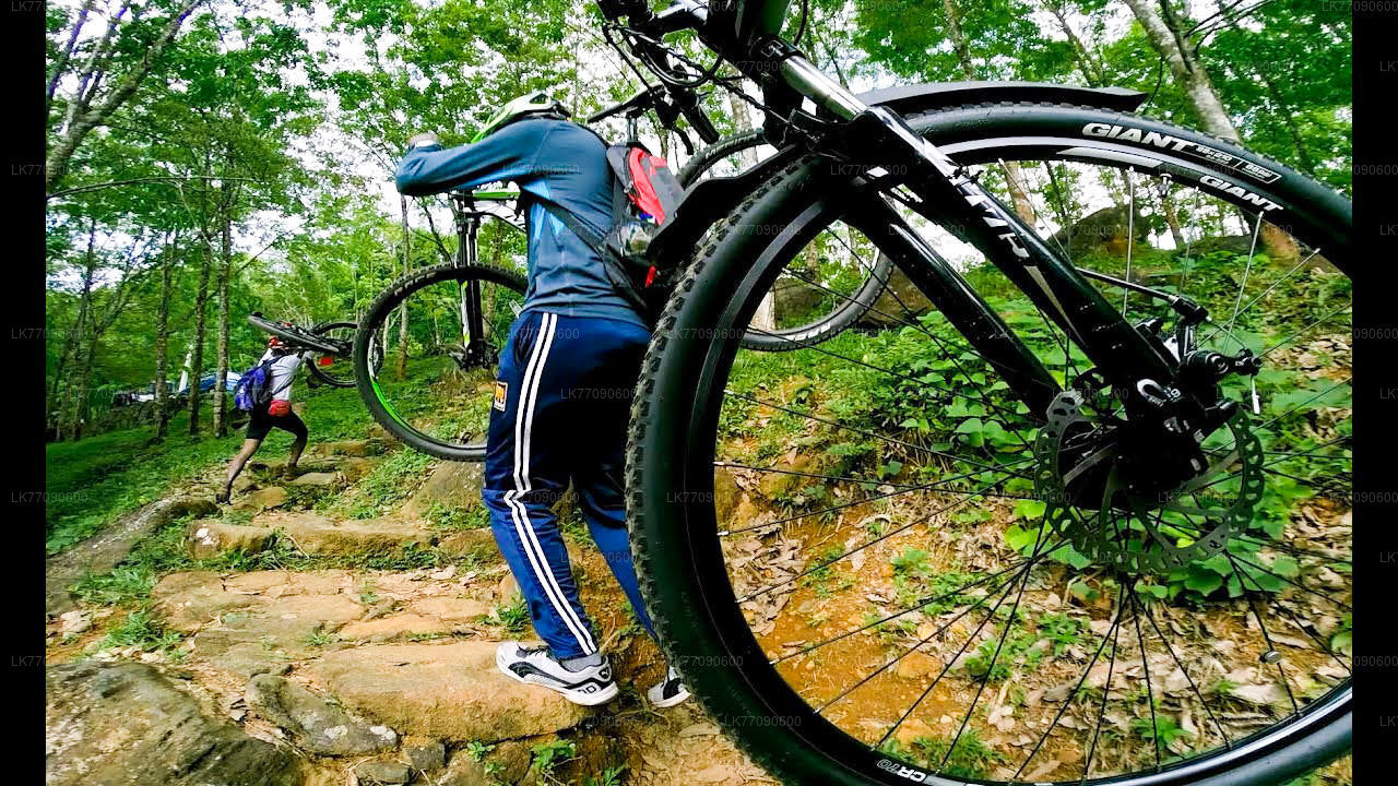 Entdecken Sie Ella mit dem Fahrrad von Ella