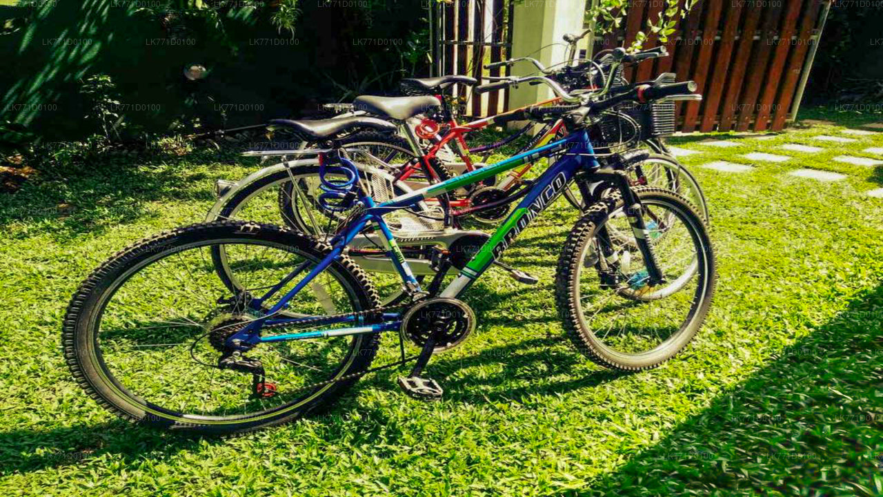 Radfahren von Kitulgala