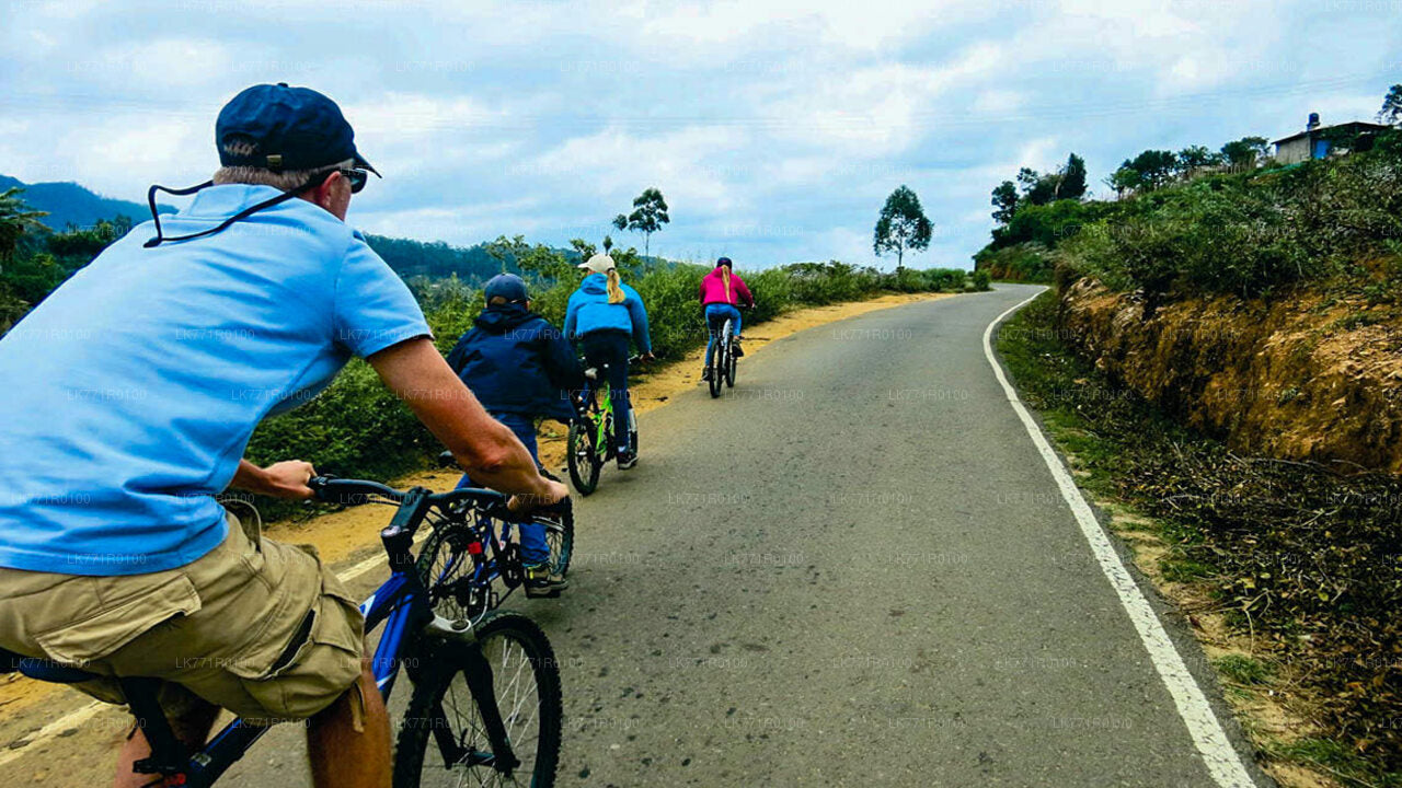 Radfahren von Nuwara Eliya