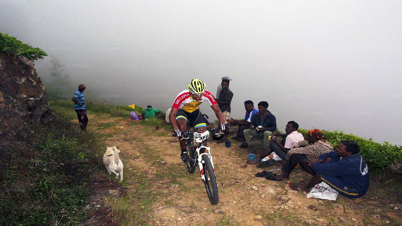 Teewege mit dem Fahrrad von Nuwara Eliya aus