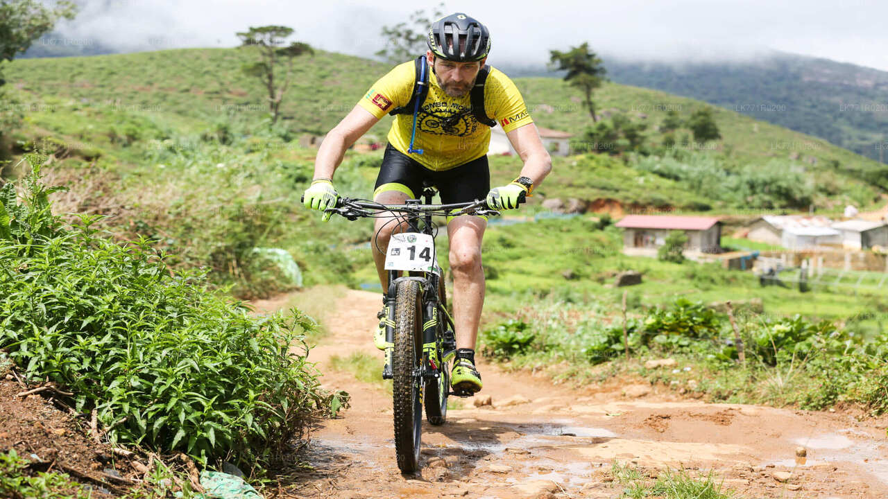 Teewege mit dem Fahrrad von Nuwara Eliya aus