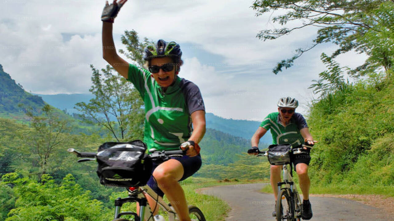 Teewege mit dem Fahrrad von Nuwara Eliya aus