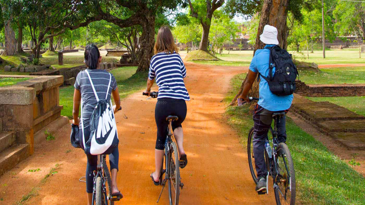 Radtour durch antike Ruinen von Polonnaruwa