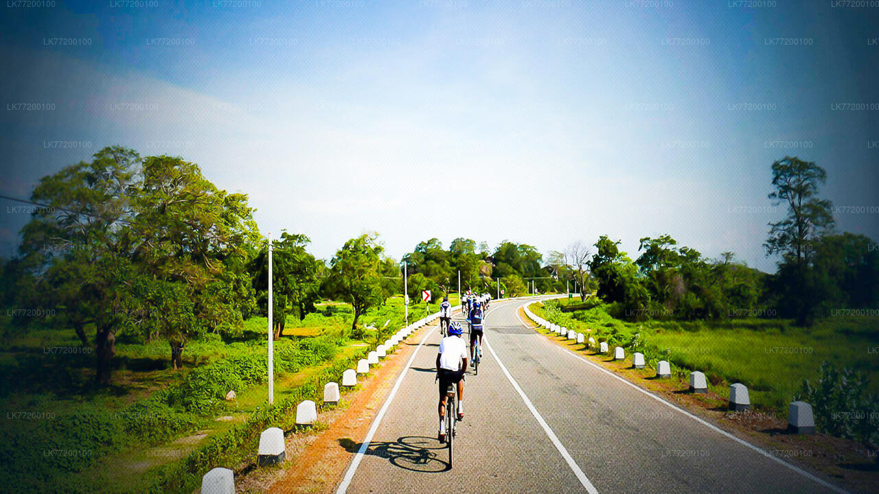 Radtour durch die Landschaft ab Sigiriya