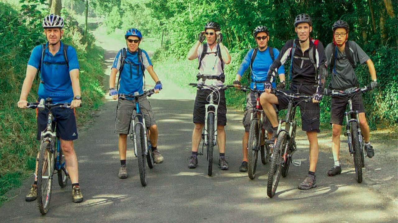Mulkirigala-Radtour ab Tangalle