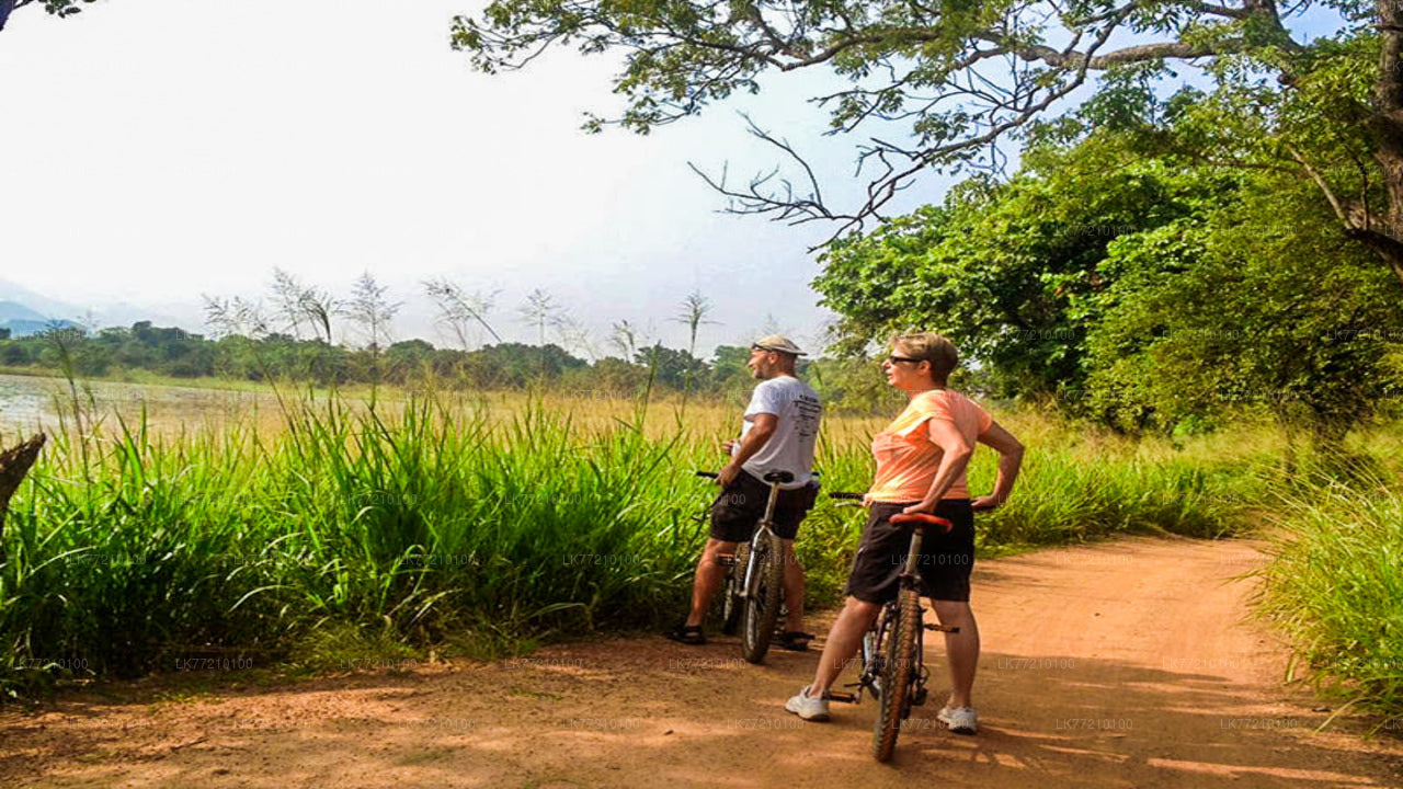 Mulkirigala-Radtour ab Tangalle