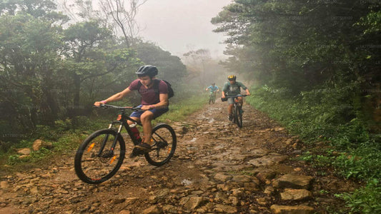 Teufelstreppe mit dem Fahrrad von Ohiya