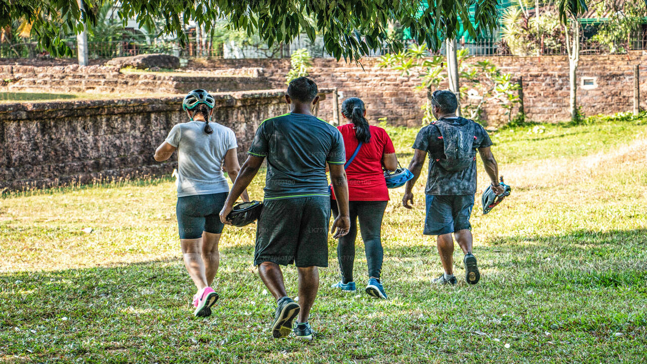 Kingdom Trail-Radtour ab Mount Lavinia