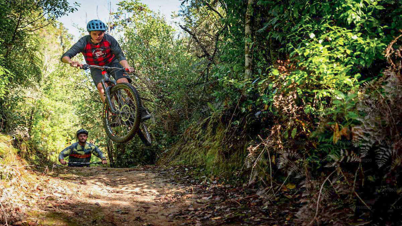 Urban Jungle Trail-Radtour ab Mount Lavinia