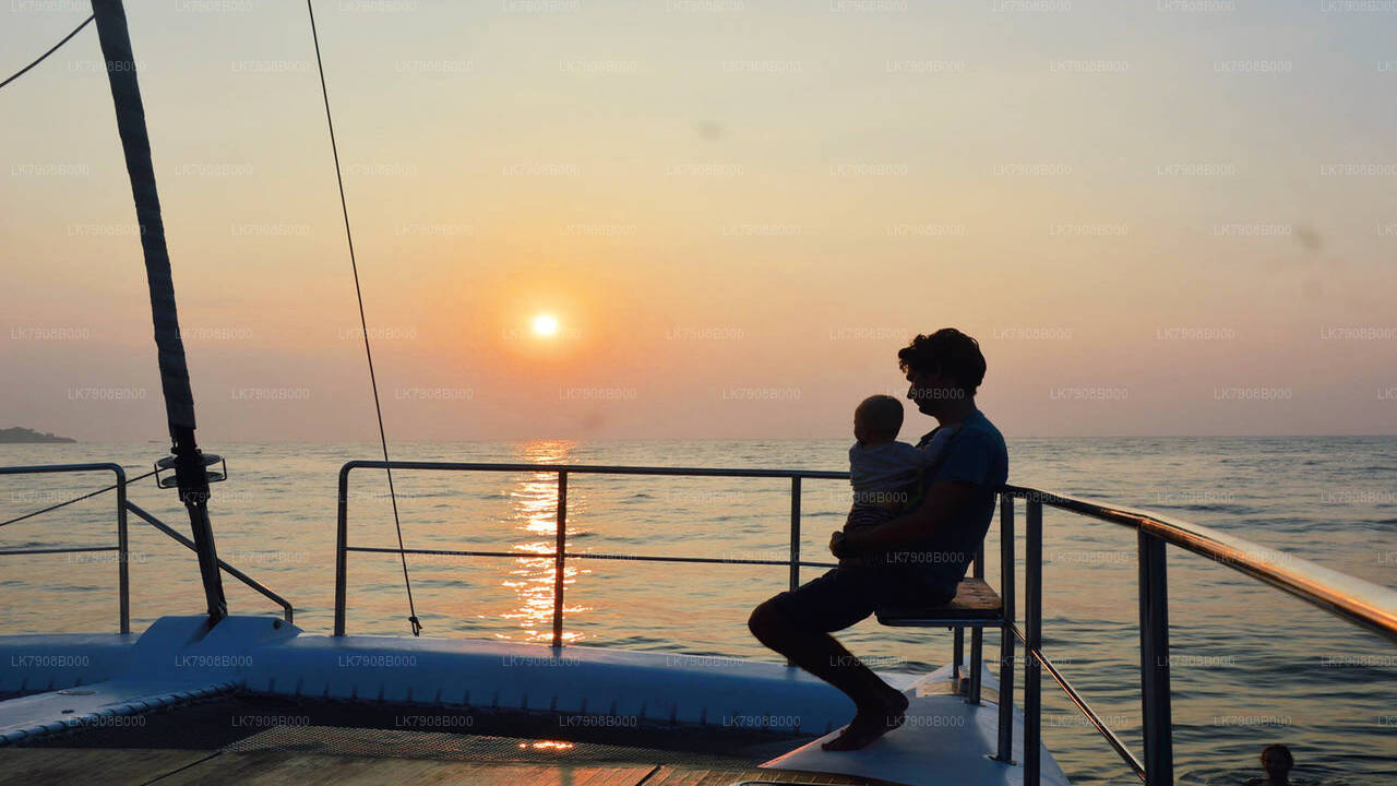 Walbeobachtungskreuzfahrt bei Sonnenuntergang in Mirissa