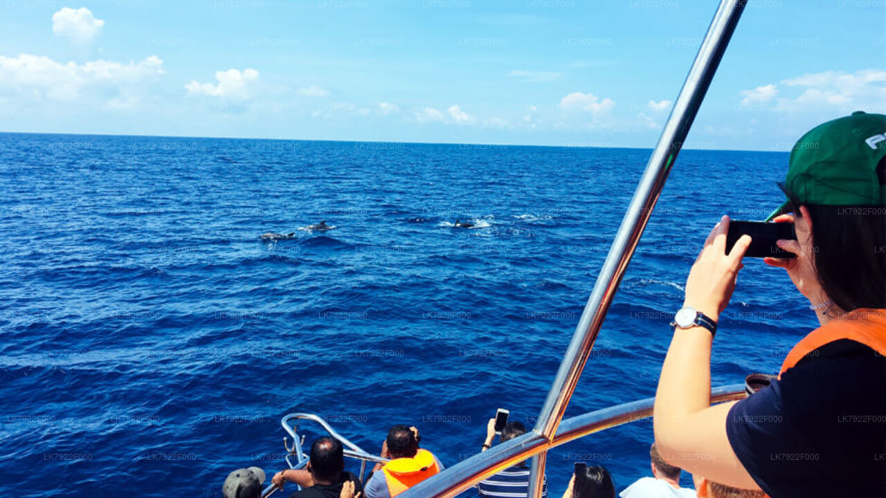 2-Nächte-Kreuzfahrturlaub auf der Ceycat ab Trincomalee