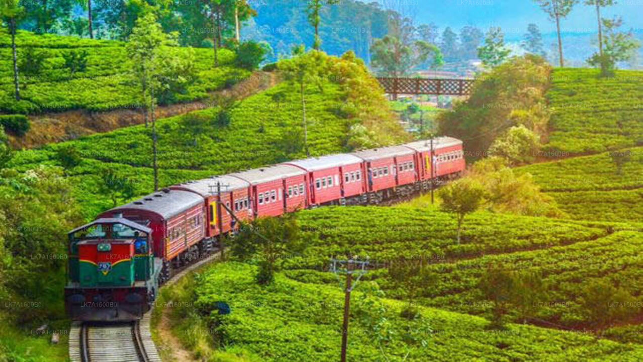 Weiterfahrt mit dem Zug von Colombo nach Badulla (Zug Nr. 1015 „Udarata Menike“)