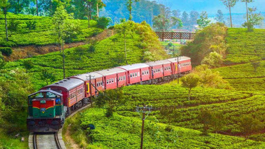 Weiterfahrt mit dem Zug von Colombo nach Badulla (Zug Nr. 1015 „Udarata Menike“)