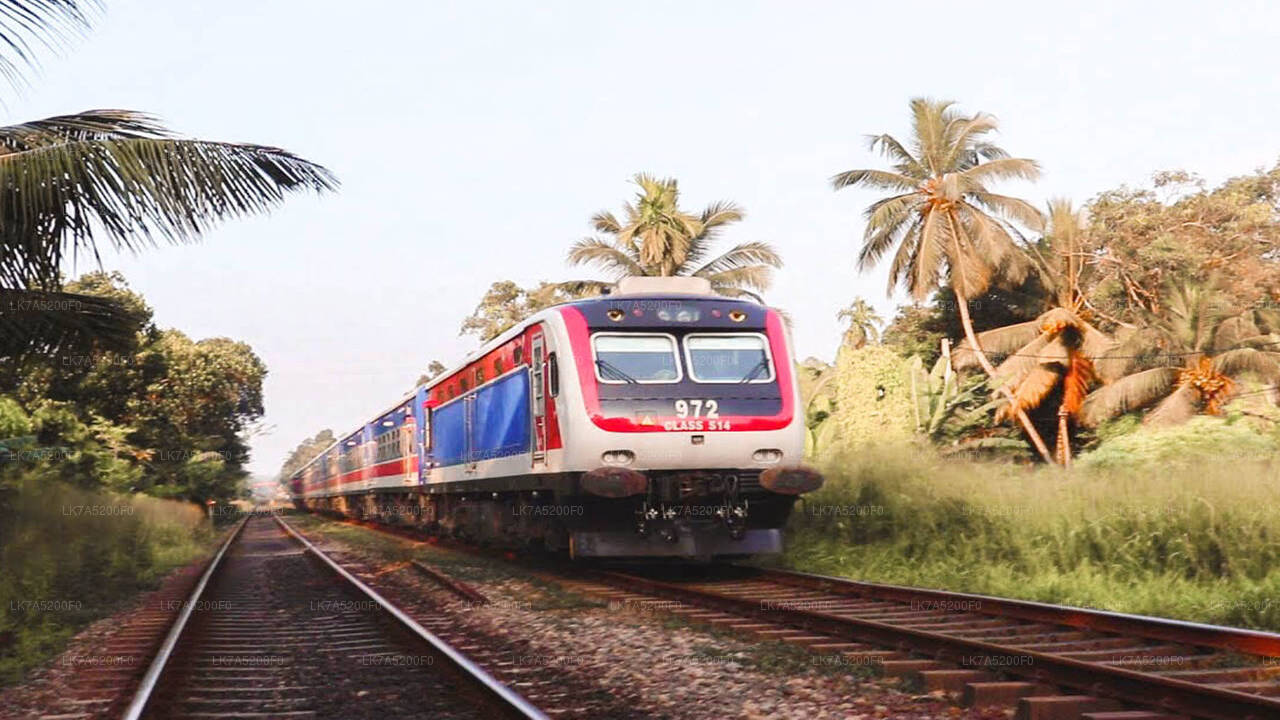 Fahrt mit dem Zug von Ella nach Peradeniya (Zug Nr.: 1002 „Denuwara Menike“)