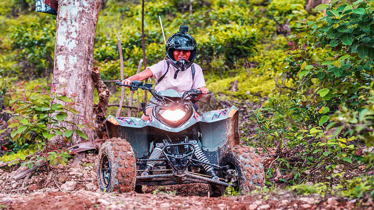 Ella Scenic Tour und ATV-Abenteuer ab Ella