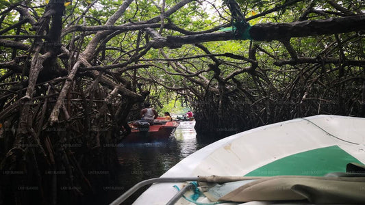 Bentota-Stadtrundfahrt ab dem Hafen von Colombo