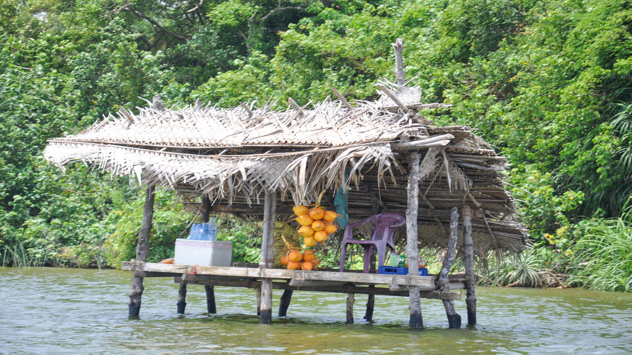 Bentota-Stadtrundfahrt ab dem Hafen von Colombo