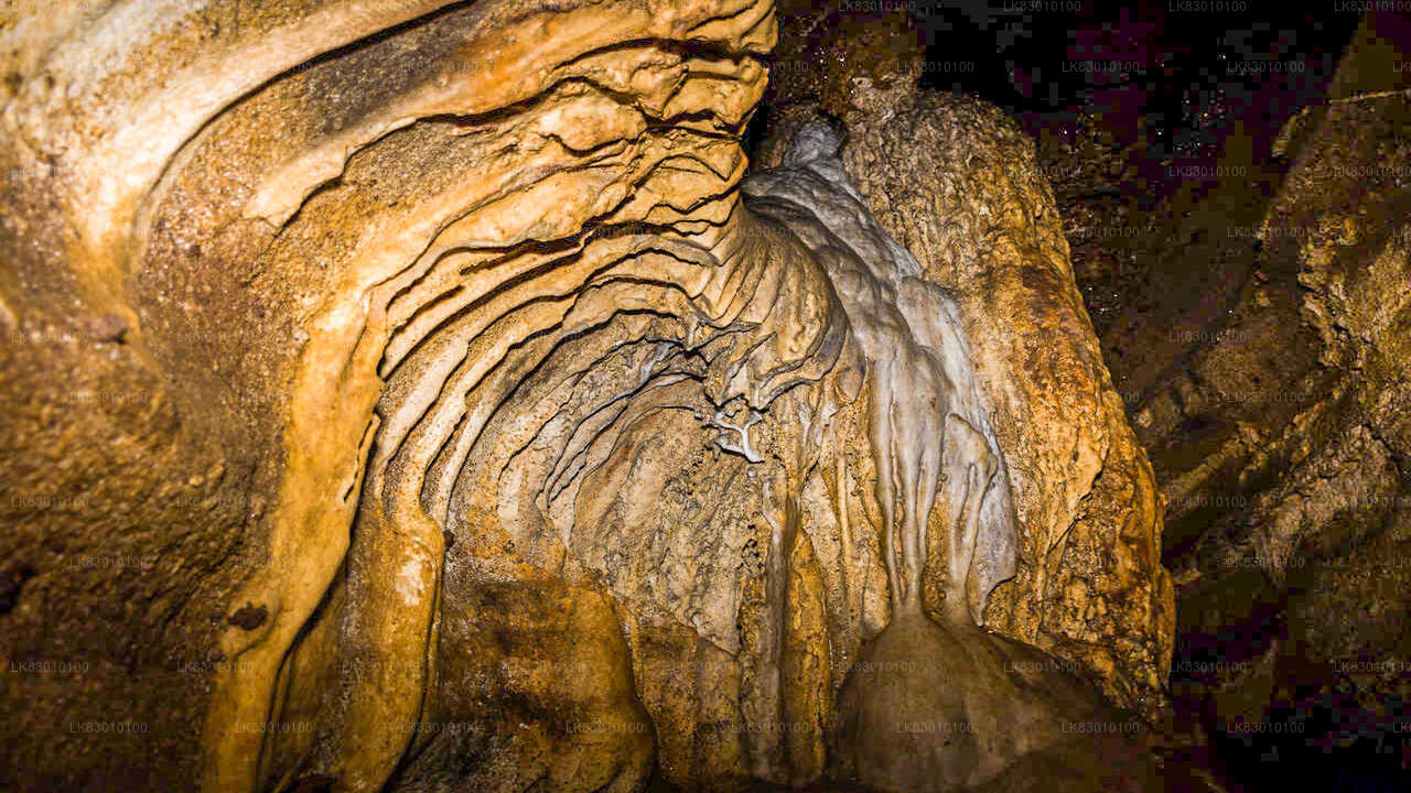 Erkunden Sie die Pannila-Höhle von Colombo aus