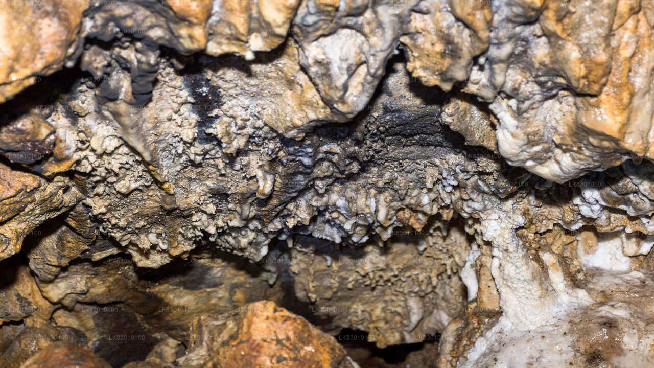 Erkunden Sie die Pannila-Höhle von Colombo aus