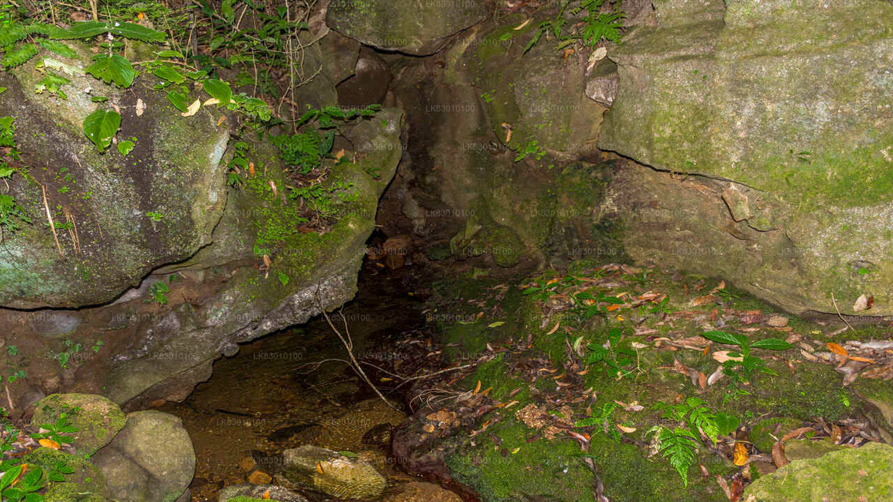 Erkunden Sie die Pannila-Höhle von Colombo aus