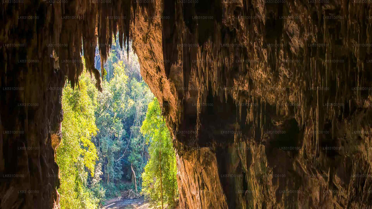 Erkunden Sie die Belilena-Höhle von Kitulgala aus