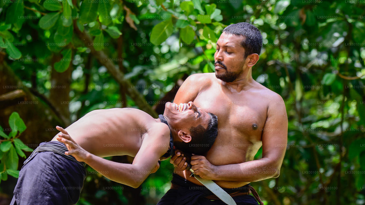 Angampora Martial Arts Show aus Colombo