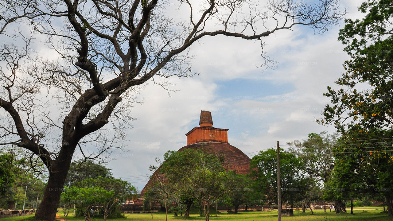 Spirituelle Erfahrung aus Anuradhapura