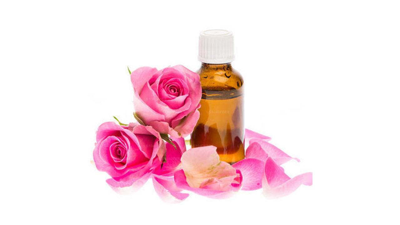 Ätherisches Lakpura-Rosenöl (15 ml)